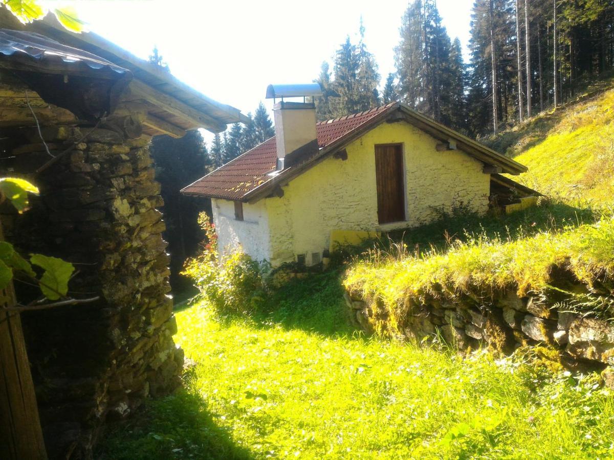 Casa Lausen Lejlighed Canal San Bovo Eksteriør billede